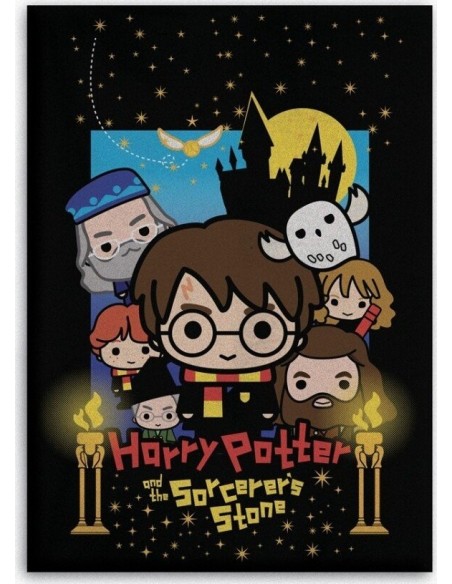 Harry potter Fleece Blanket, New discount.com, Nouveautés chez new ...