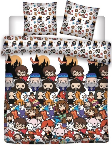 Housse de couette Harry Potter 2 Personnes - New discount.com