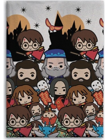 Harry potter Fleece Blanket, New discount.com, Nouveautés chez new ...
