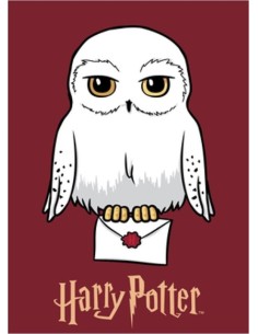 Plaid Polaire Harry potter - New discount.com