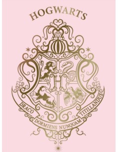 Plaid Polaire Harry potter fille - New discount.com