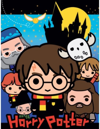 Coperta in pile Harry Potter - New discount.com