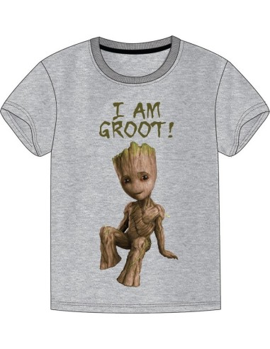 T-shirt Gardien de la galaxie Marvel - New discount.com
