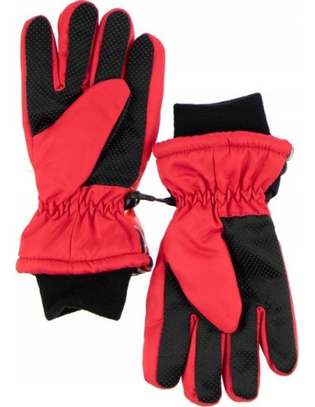 Gants de ski Miraculous - New discount.com