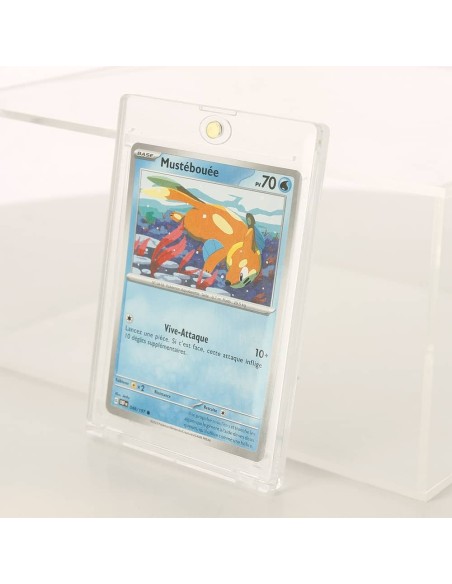 PROTECTION PVC MAGNETIC Porte-cartes magnétique - New discount.com