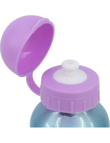 Botella de aluminio Gabby's Dollhouse 400 ML -New discount.com