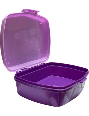 Boîte à goûter Frozen Disney - New discount.com