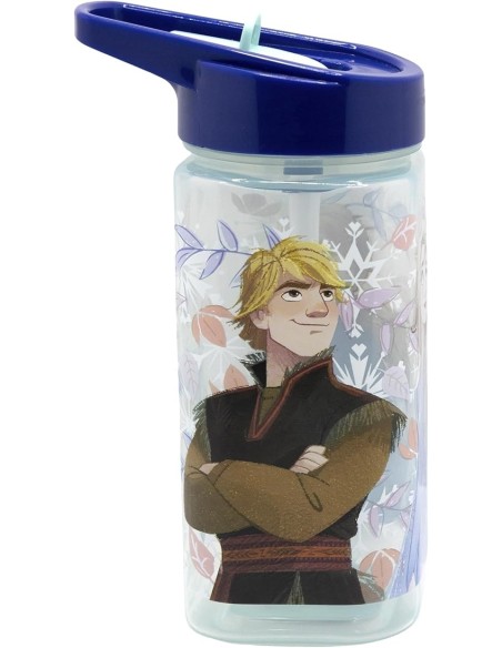 Bouteille d'eau carrée Frozen Disney 510 ml - New discount.com