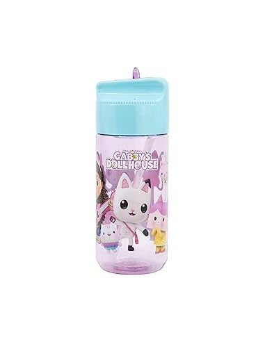 BOUTEILLE ECOZEN HYDRO 430 ML Gabby's Dollhouse - New discount.com