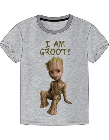 T-shirt Gardien de la galaxie Marvel - New discount.com