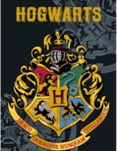 Plaid Polaire Harry potter Hogwarts - New discount.com 2