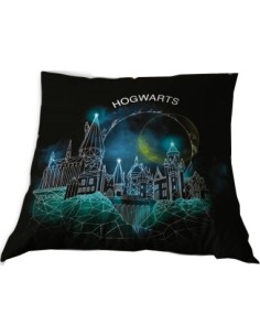 Coussin Harry Potter - New discount.com 2