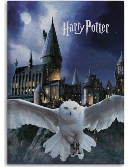Harry potter Fleece Blanket, New discount.com, Nouveautés chez new ...