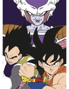 Plaid Polaire Dragon Ball Z - New discount.com 2