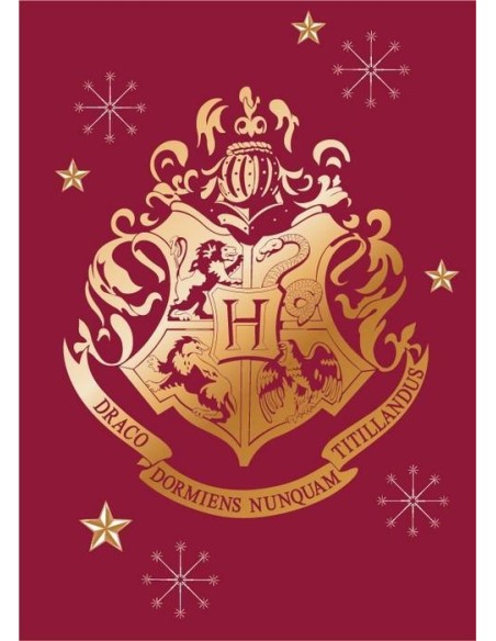 Manta polar Harry Potter -New discount.com