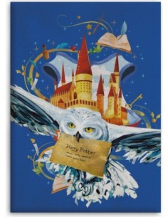 Plaid Polaire Harry potter - New discount.com 2