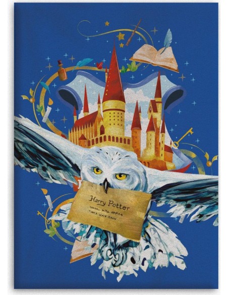 Harry potter Fleece Blanket, New discount.com, Nouveautés chez new ...