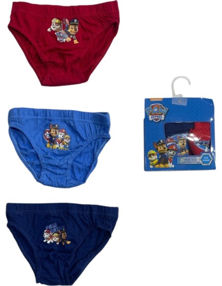 Boite de  slips Paw Patrol