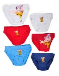 Boite de 3 Slips 7 nains Disney - 730-116 - New discount.com