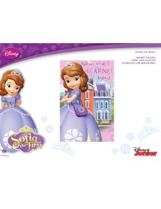 Plaid polaire Sofia Disney - 120 X140 cm - 720-069 - New discount.com