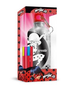 Gourde en aluminium Miraculous à peindre - New discount.com
