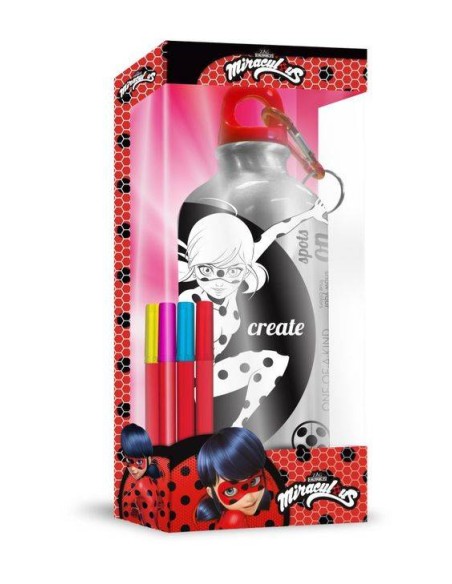 Gourde en aluminium Miraculous à peindre - New discount.com