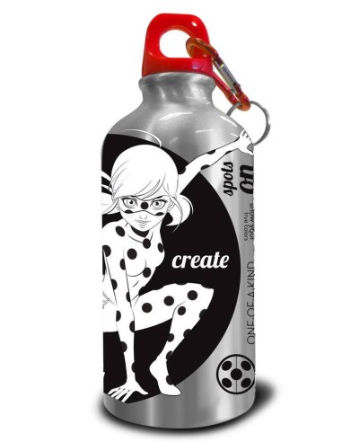 Gourde en aluminium Miraculous à peindre - New discount.com