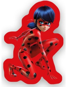 Coussin Miraculous Forme - New discount.com