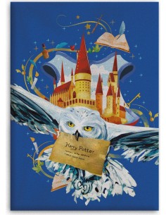 Plaid Polaire Harry potter - New discount.com