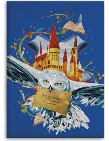 Plaid Polaire Harry potter - New discount.com