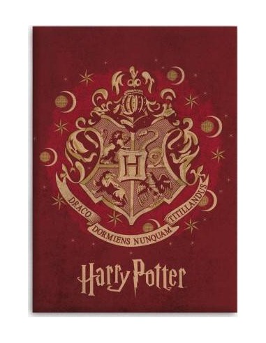 Plaid Polaire Harry potter - New discount.com