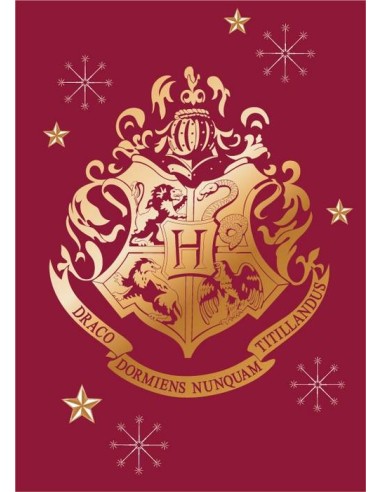 Manta polar Harry Potter -New discount.com