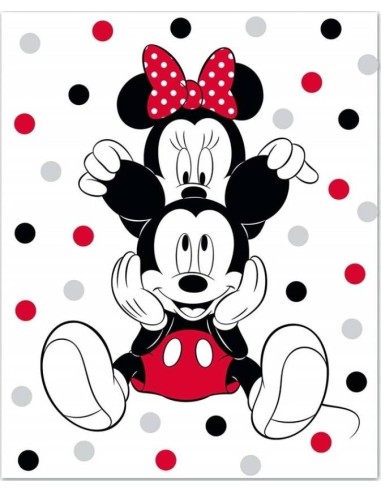 Plaid Polaire Minnie et Mickey Disney - New discount.com